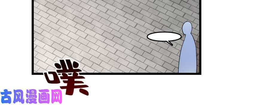 毒步天下：特工神医小兽妃121