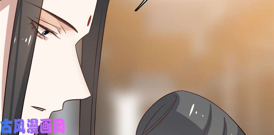 毒步天下：特工神医小兽妃121