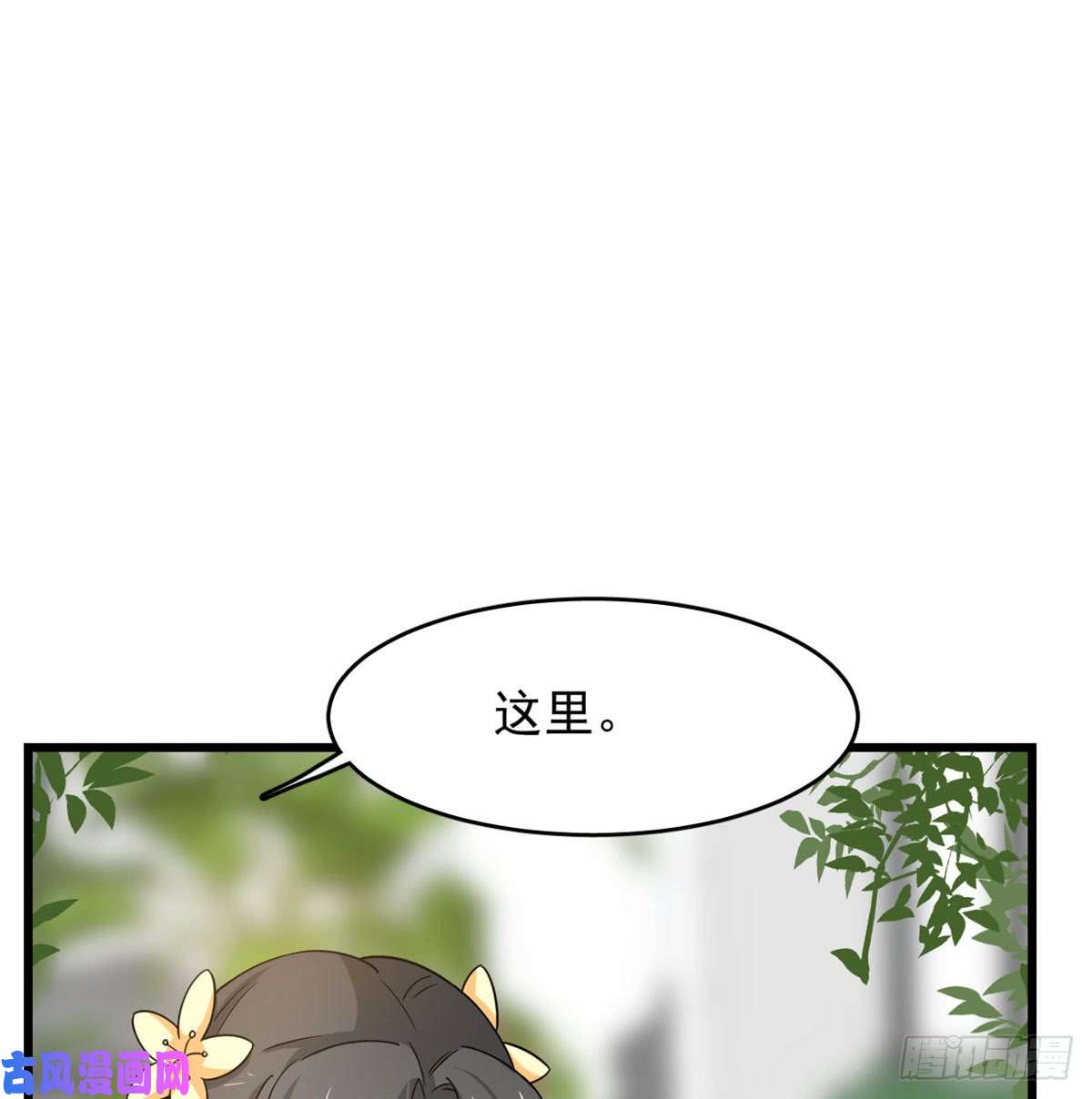 毒步天下：特工神医小兽妃126