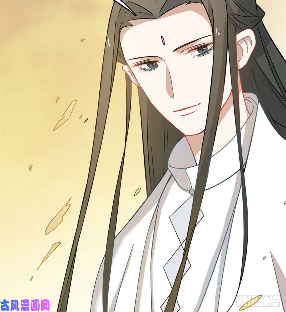 毒步天下：特工神医小兽妃128