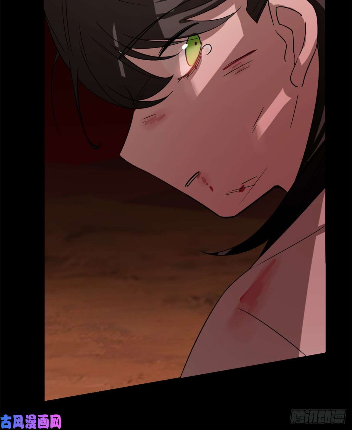 毒步天下：特工神医小兽妃133