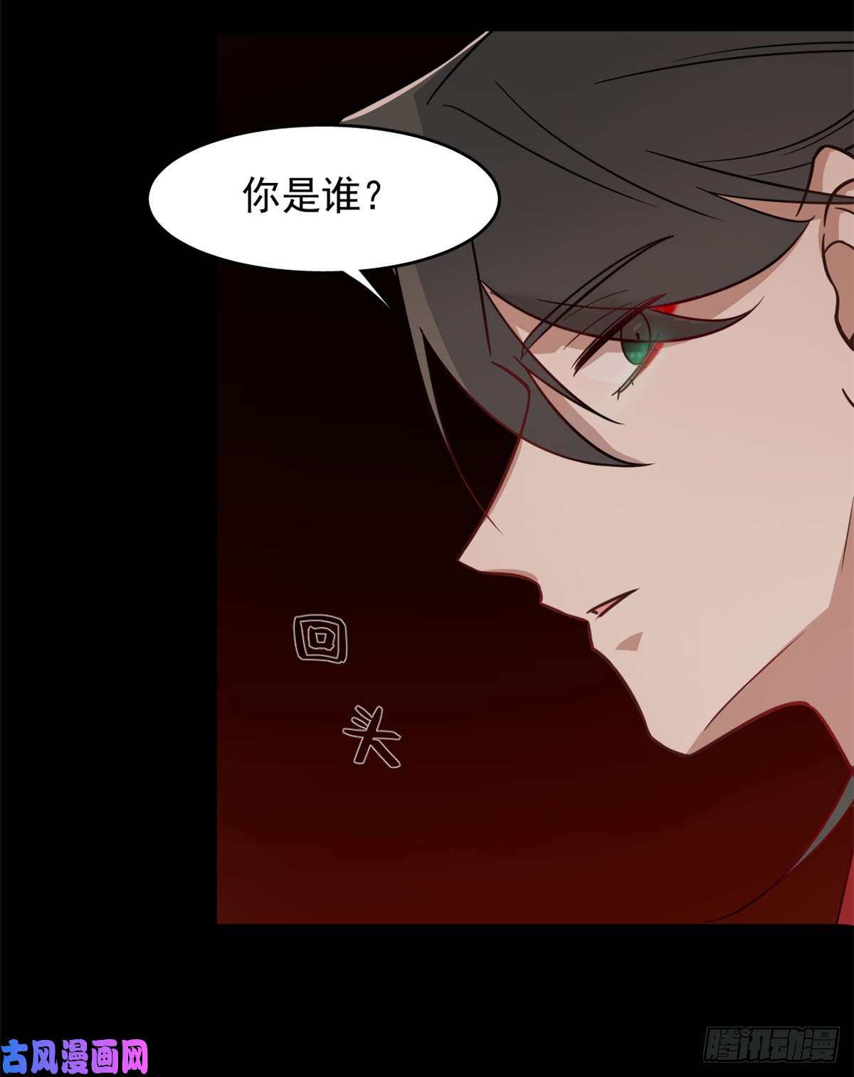 毒步天下：特工神医小兽妃135