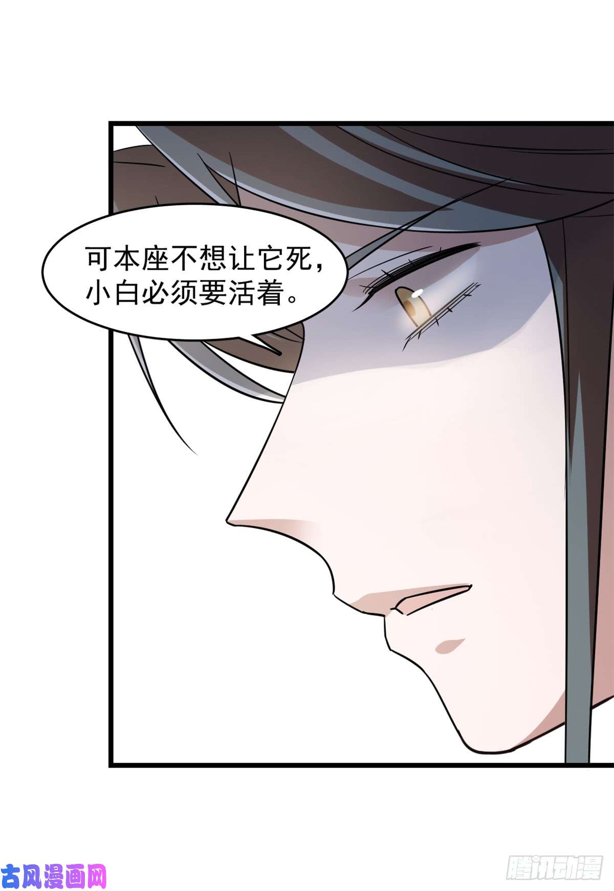 毒步天下：特工神医小兽妃136