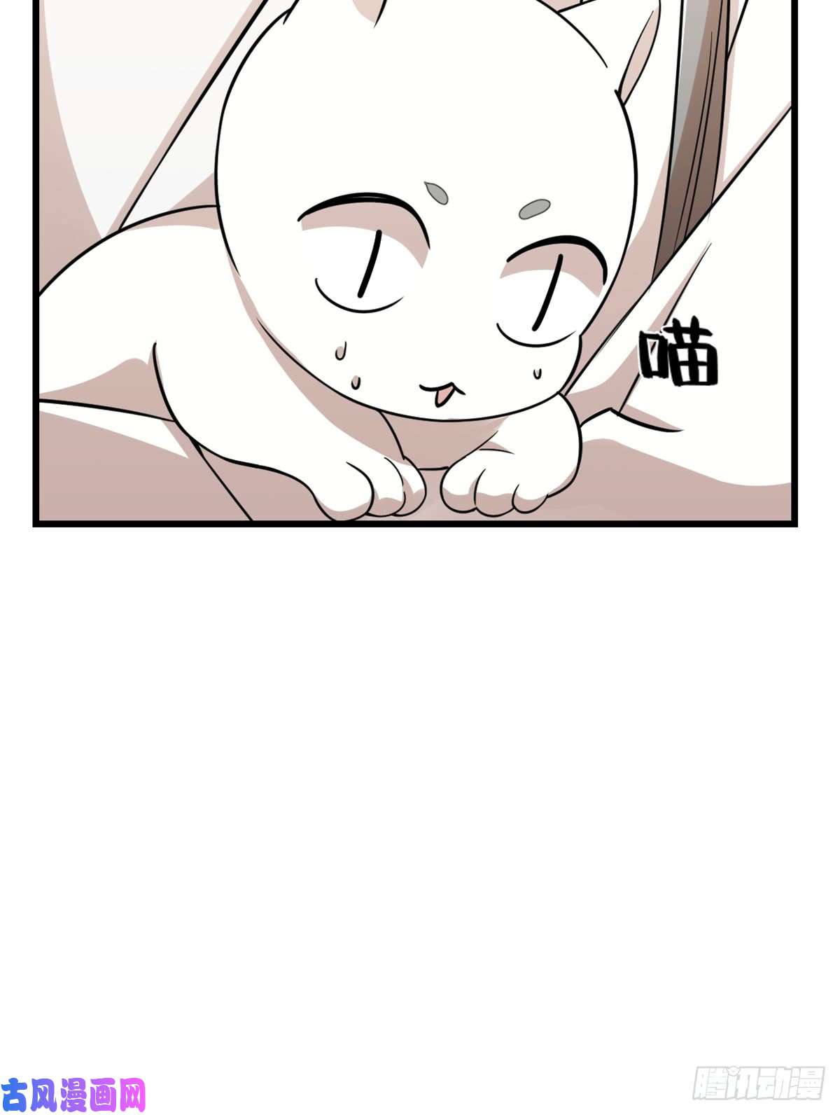 毒步天下：特工神医小兽妃136