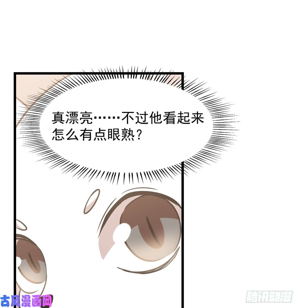 毒步天下：特工神医小兽妃137