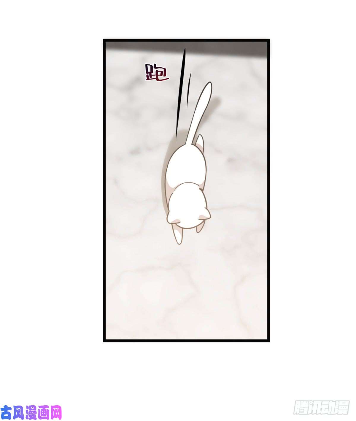 毒步天下：特工神医小兽妃138