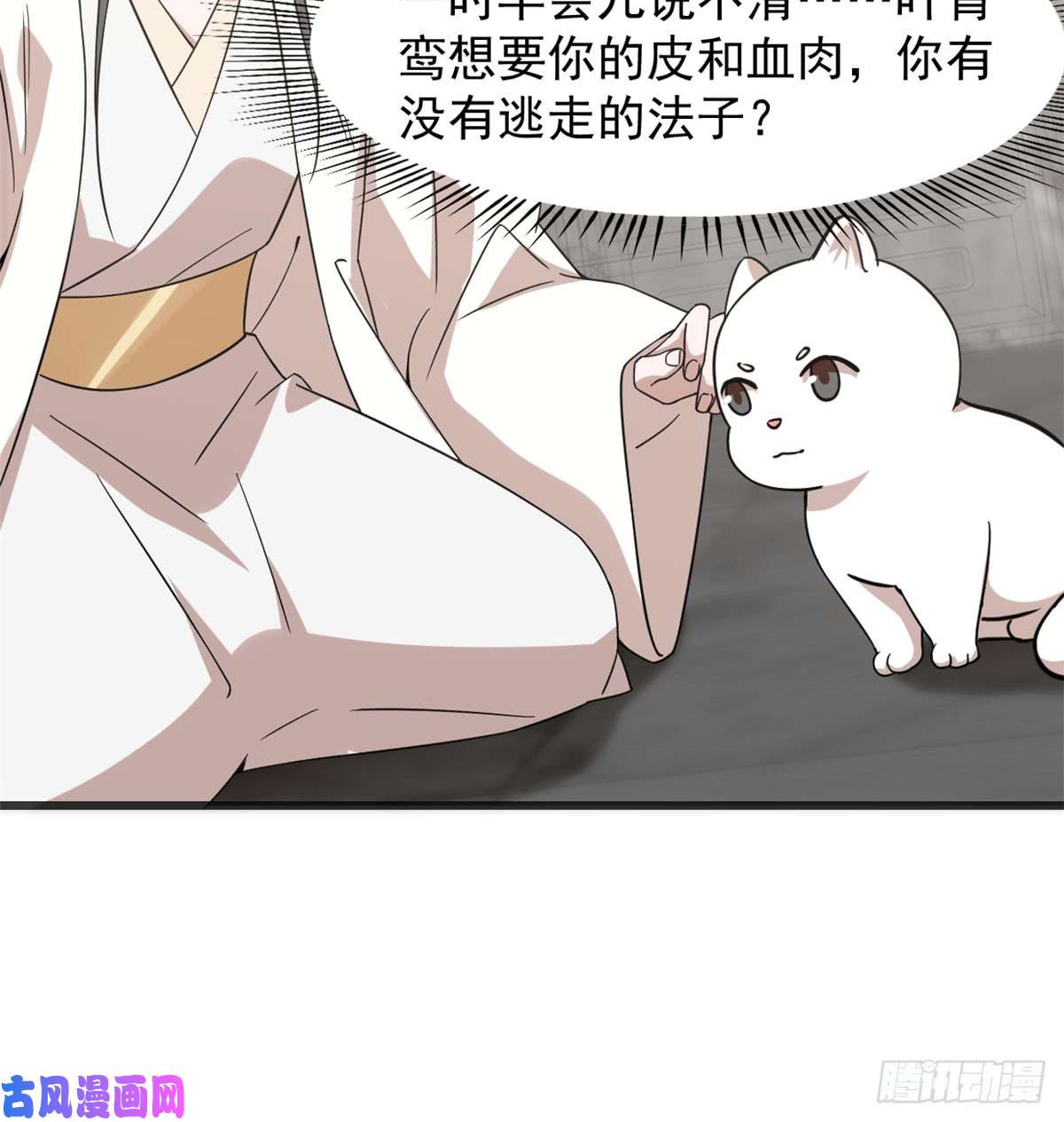 毒步天下：特工神医小兽妃138