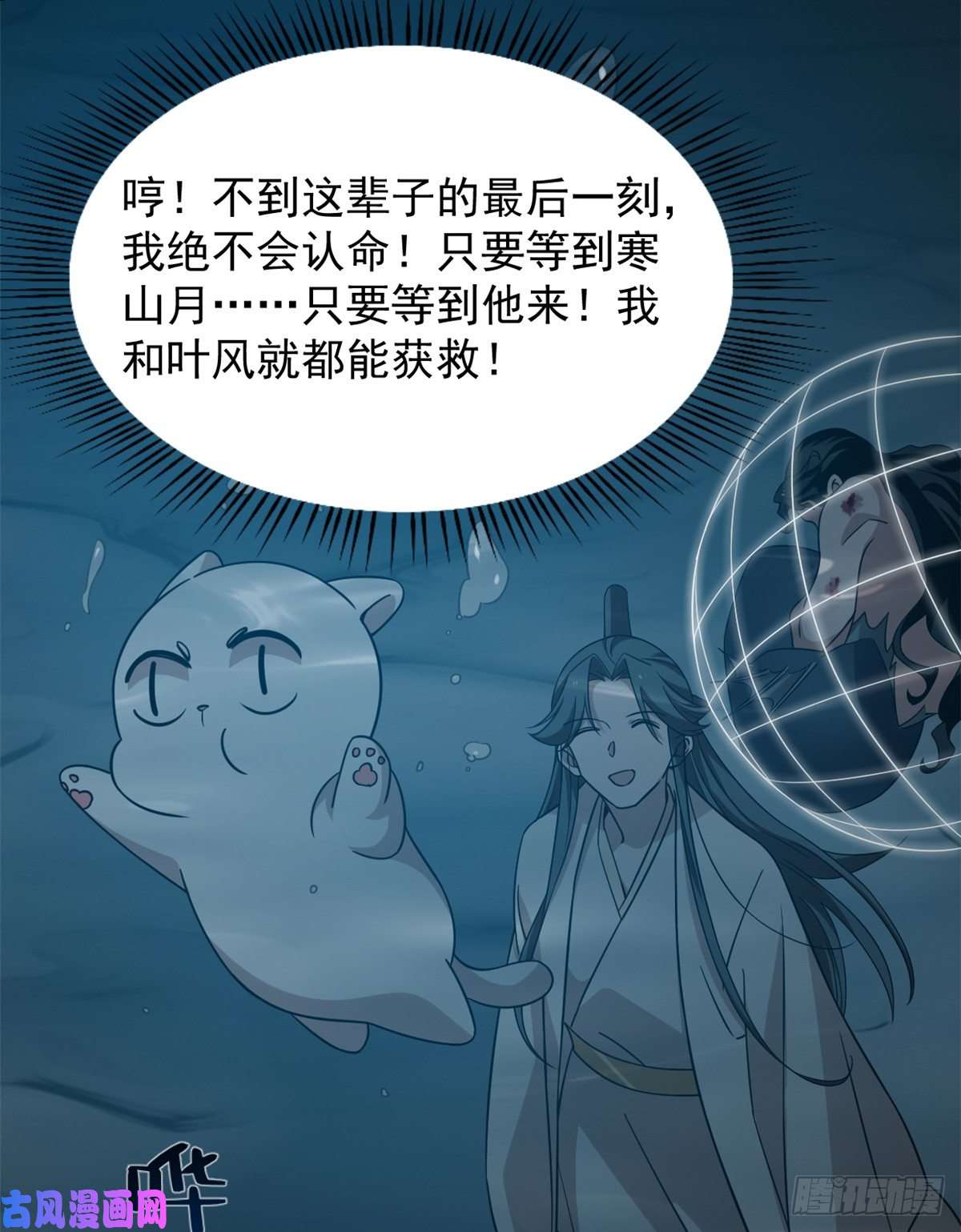 毒步天下：特工神医小兽妃143