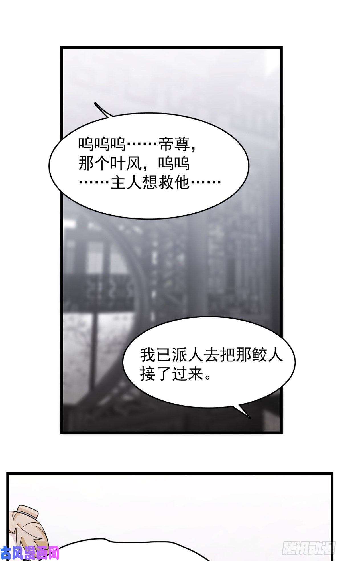 毒步天下：特工神医小兽妃146