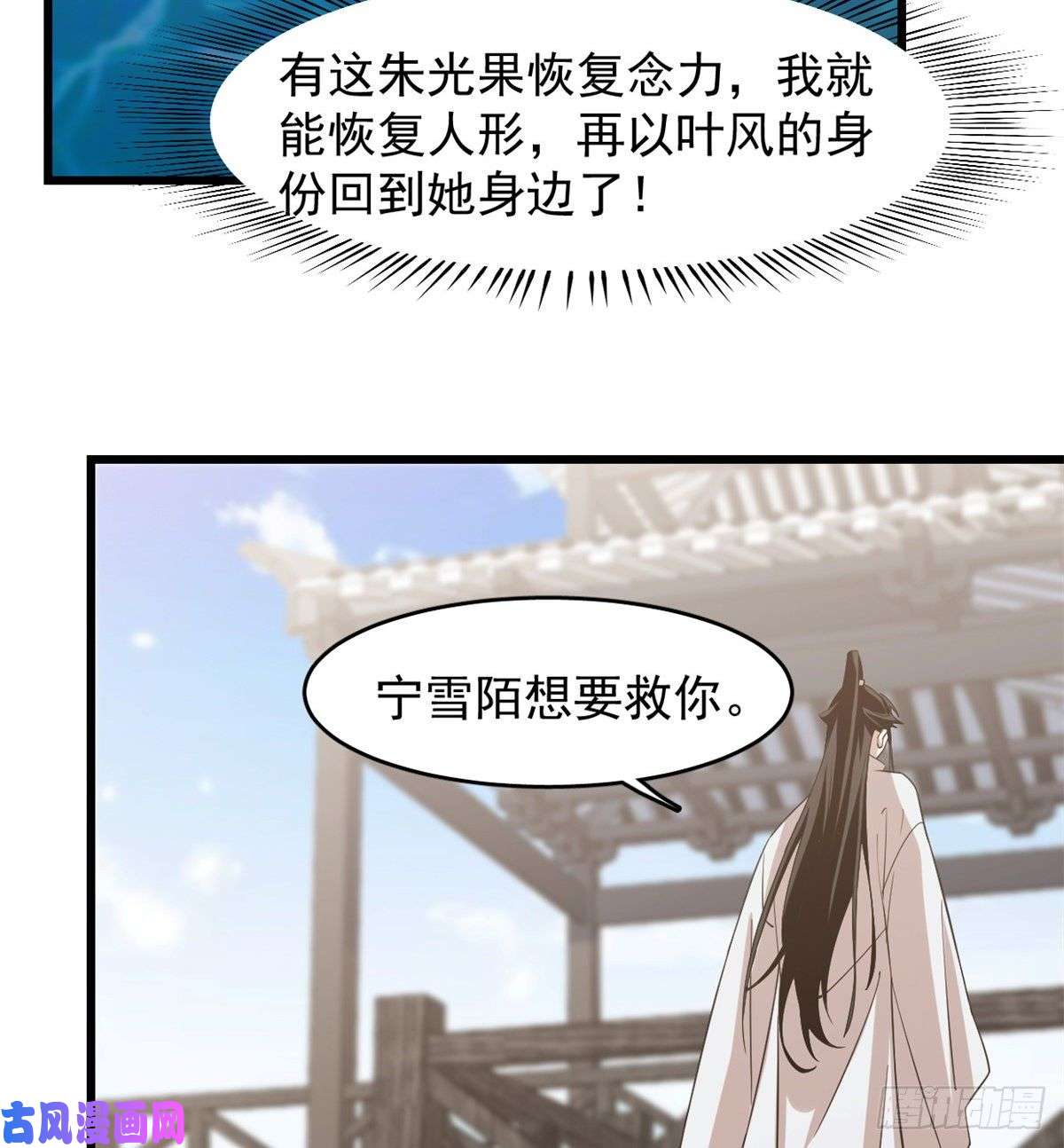 毒步天下：特工神医小兽妃148