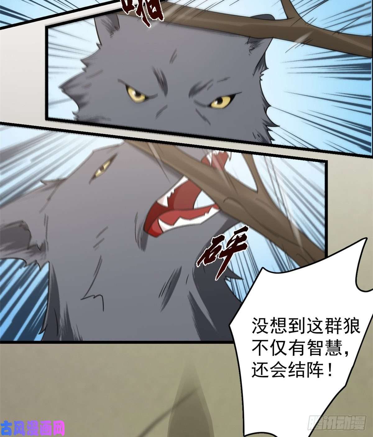 毒步天下：特工神医小兽妃156