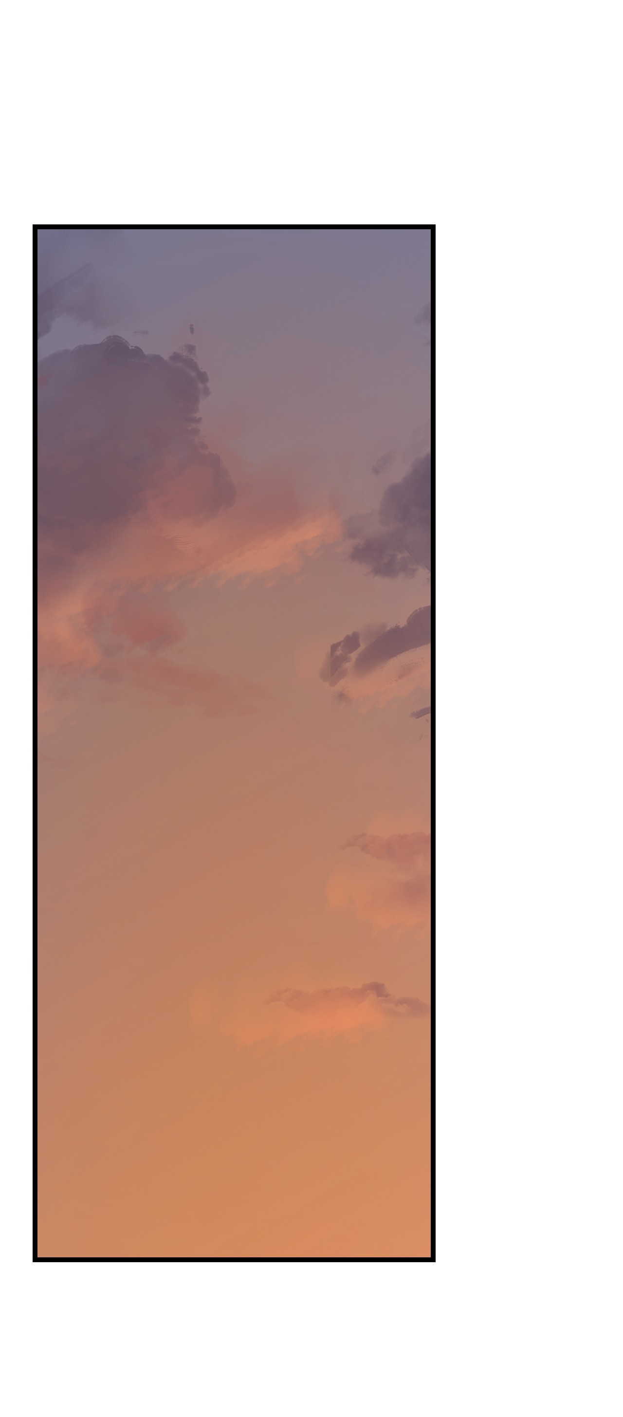 毒步天下：特工神医小兽妃238 238