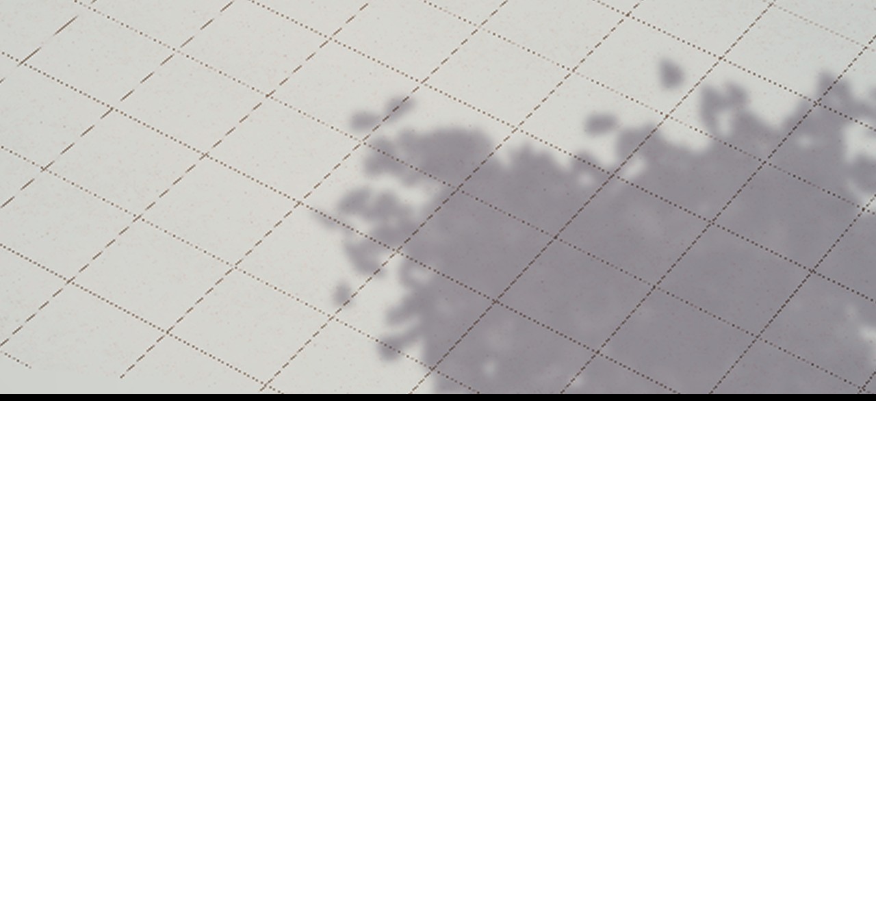 毒步天下：特工神医小兽妃243 243