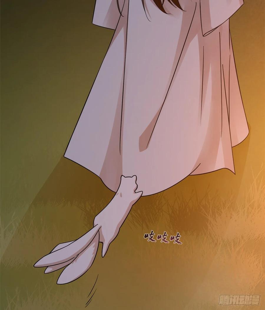 毒步天下：特工神医小兽妃162