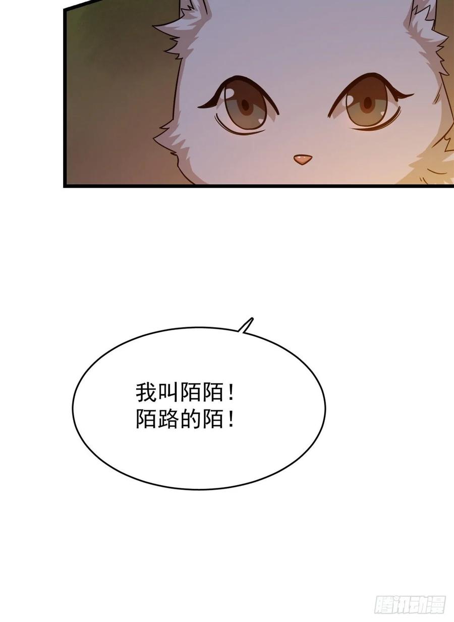 毒步天下：特工神医小兽妃162