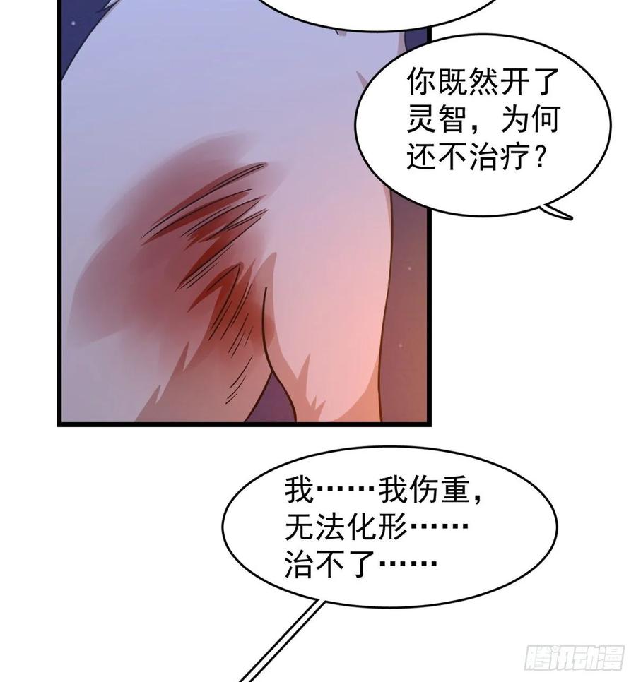 毒步天下：特工神医小兽妃162