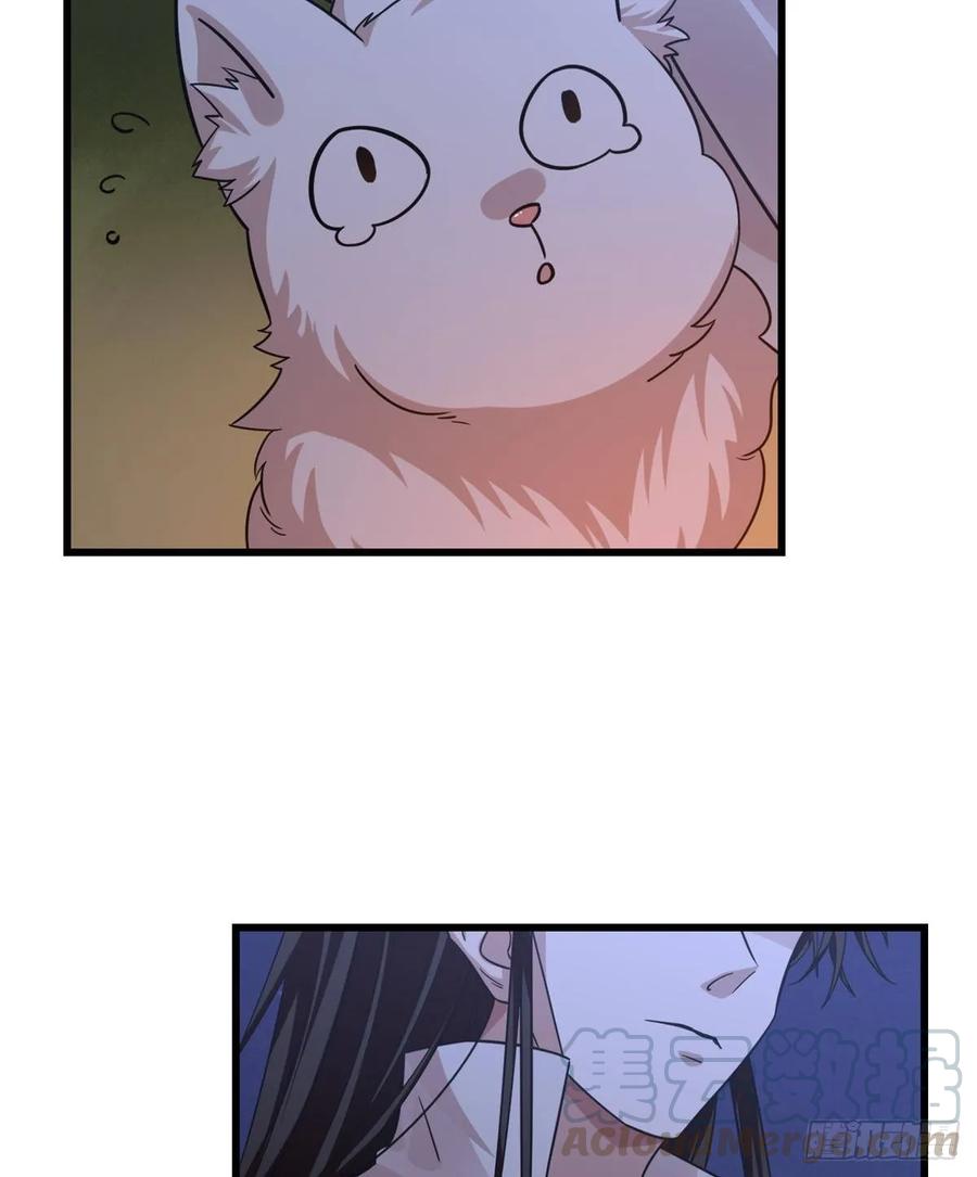 毒步天下：特工神医小兽妃162