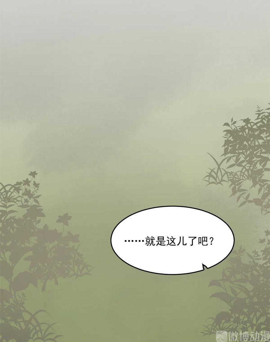 毒步天下：特工神医小兽妃188