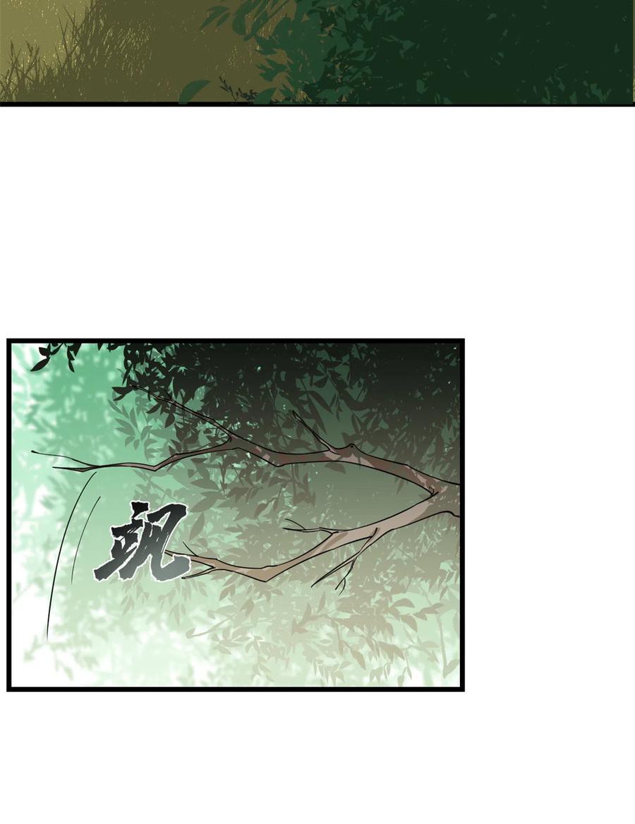 毒步天下：特工神医小兽妃189