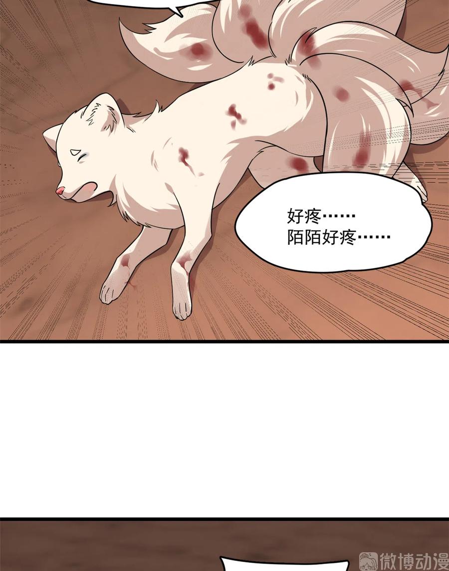 毒步天下：特工神医小兽妃190