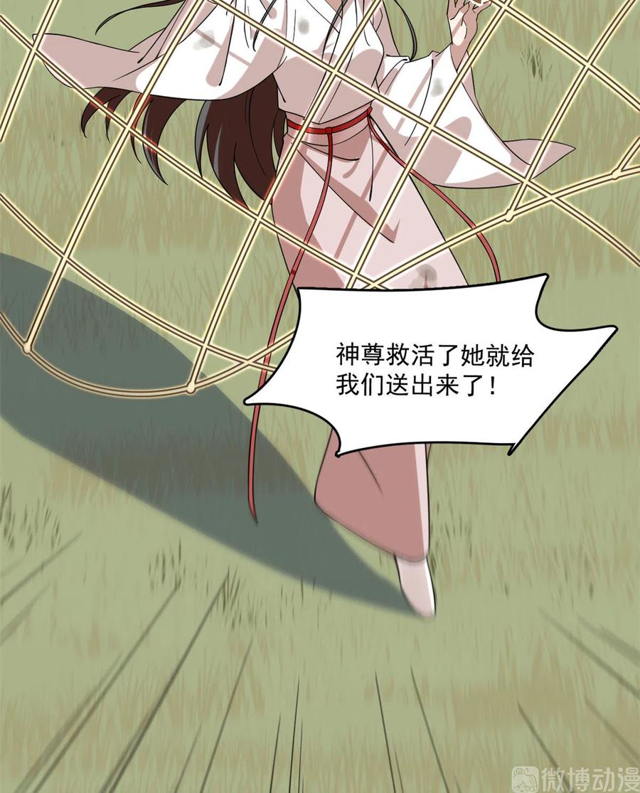 毒步天下：特工神医小兽妃192