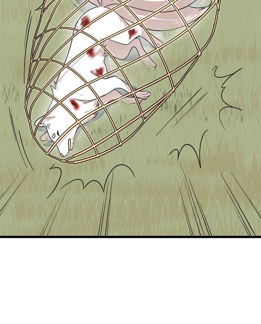 毒步天下：特工神医小兽妃192