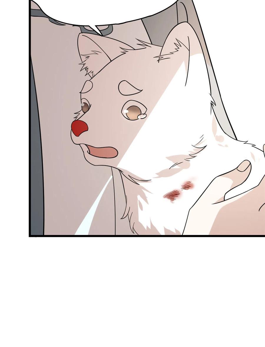 毒步天下：特工神医小兽妃192