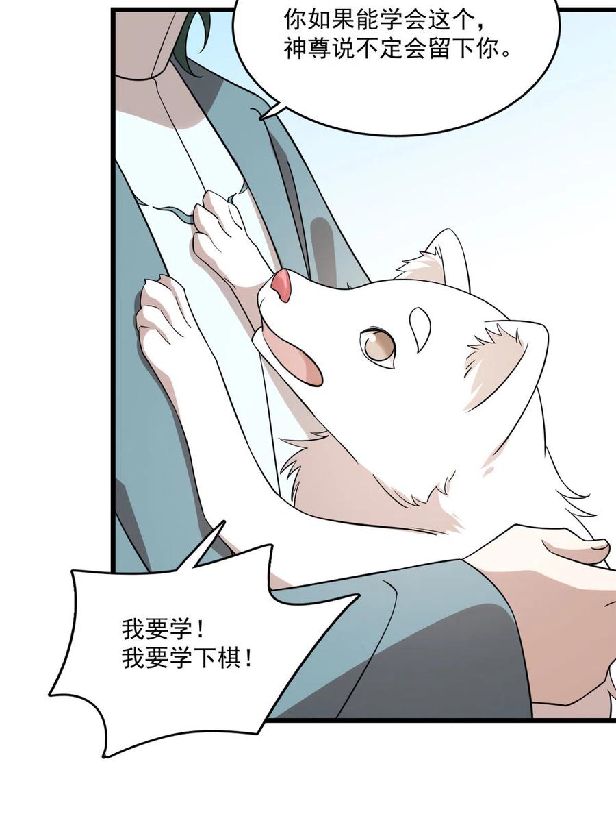 毒步天下：特工神医小兽妃192