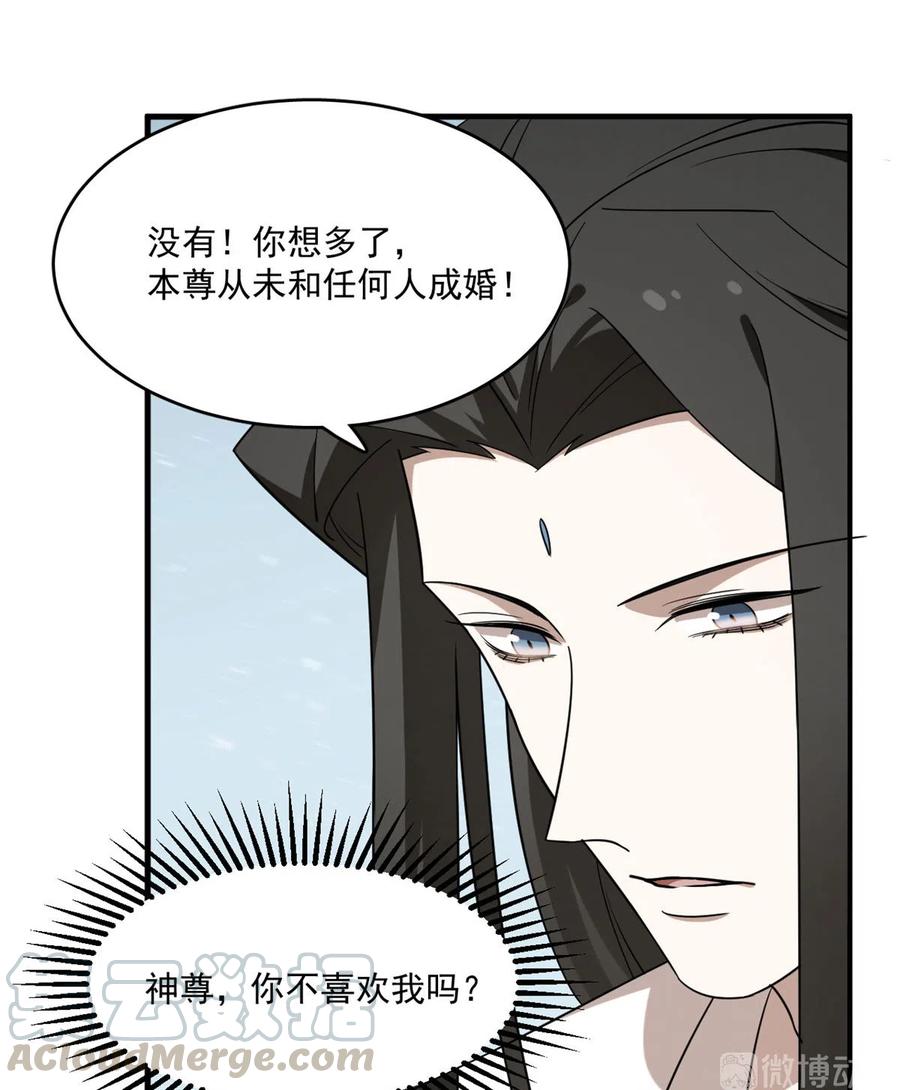 毒步天下：特工神医小兽妃202