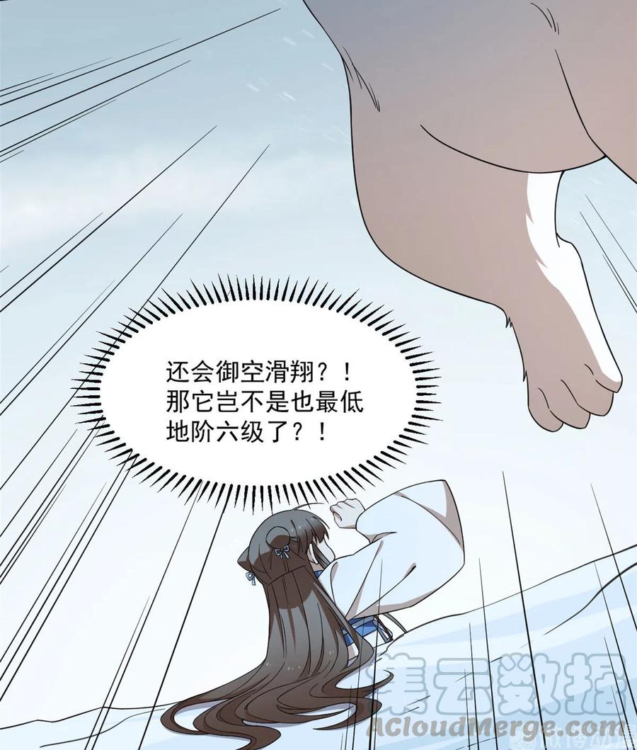 毒步天下：特工神医小兽妃203