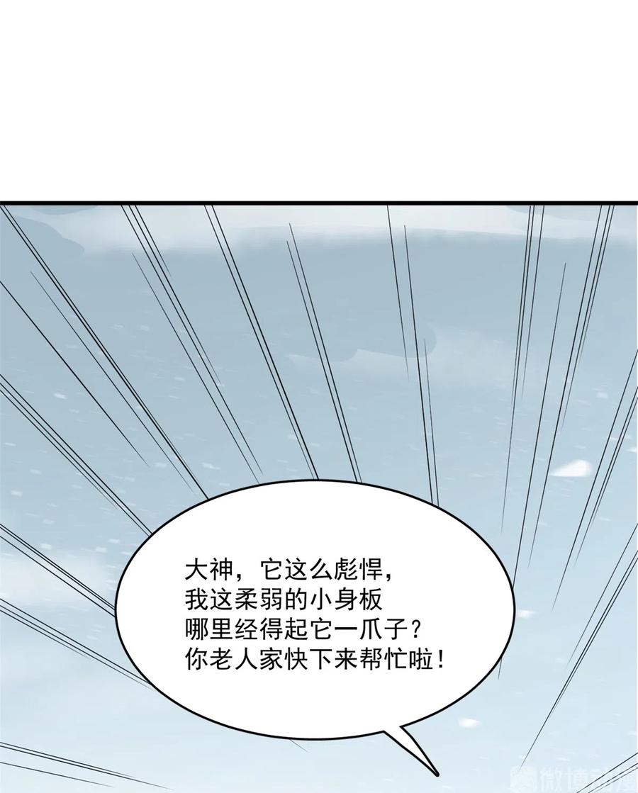 毒步天下：特工神医小兽妃204