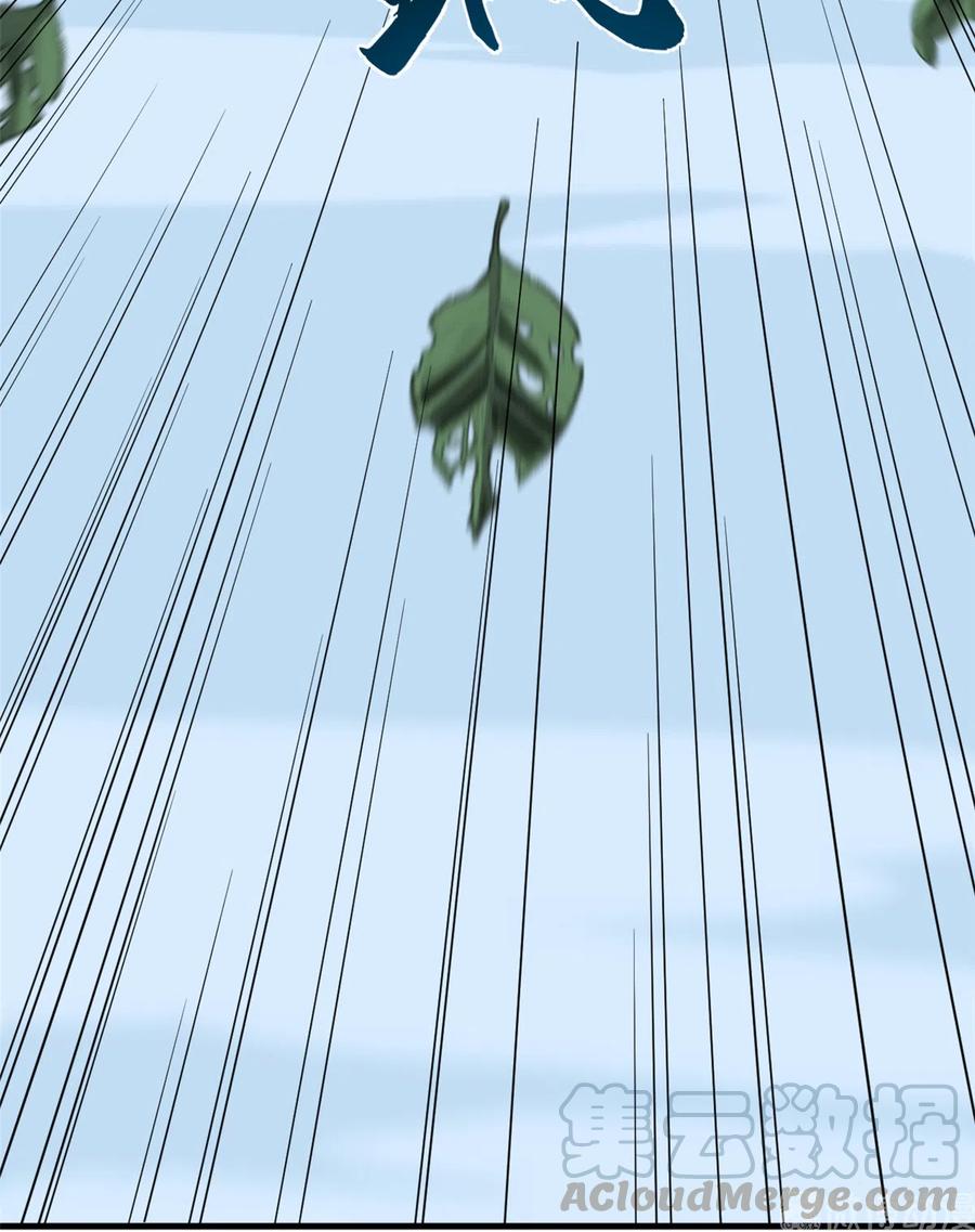 毒步天下：特工神医小兽妃204