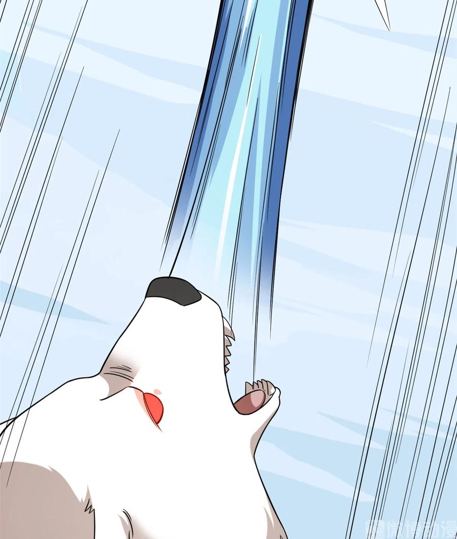 毒步天下：特工神医小兽妃204