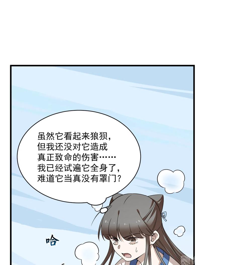 毒步天下：特工神医小兽妃205