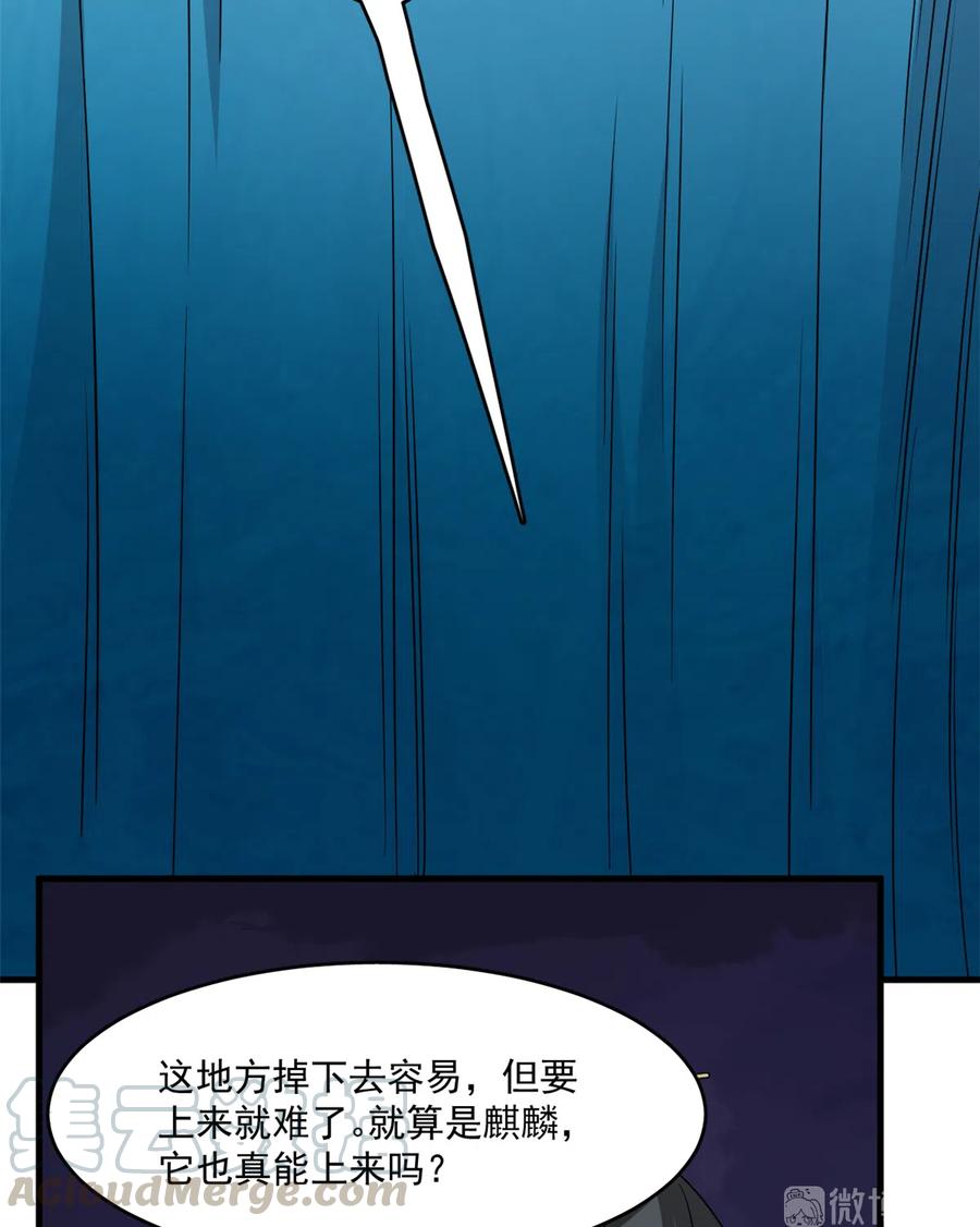 毒步天下：特工神医小兽妃206