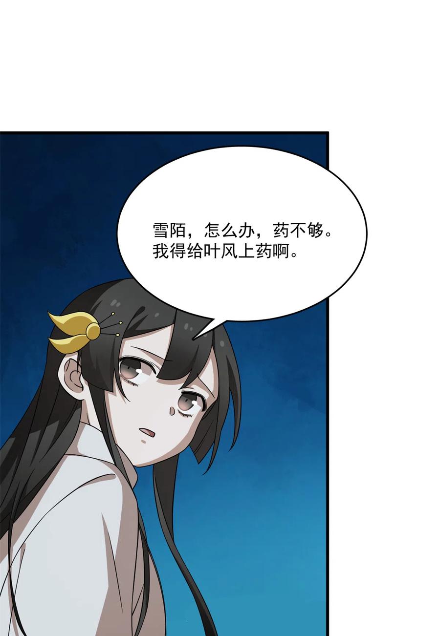 毒步天下：特工神医小兽妃210