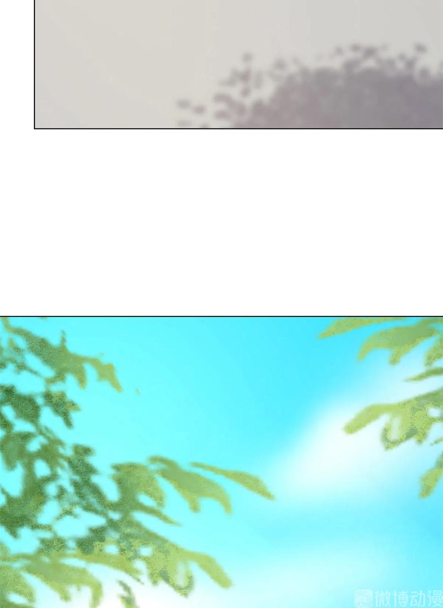 毒步天下：特工神医小兽妃213