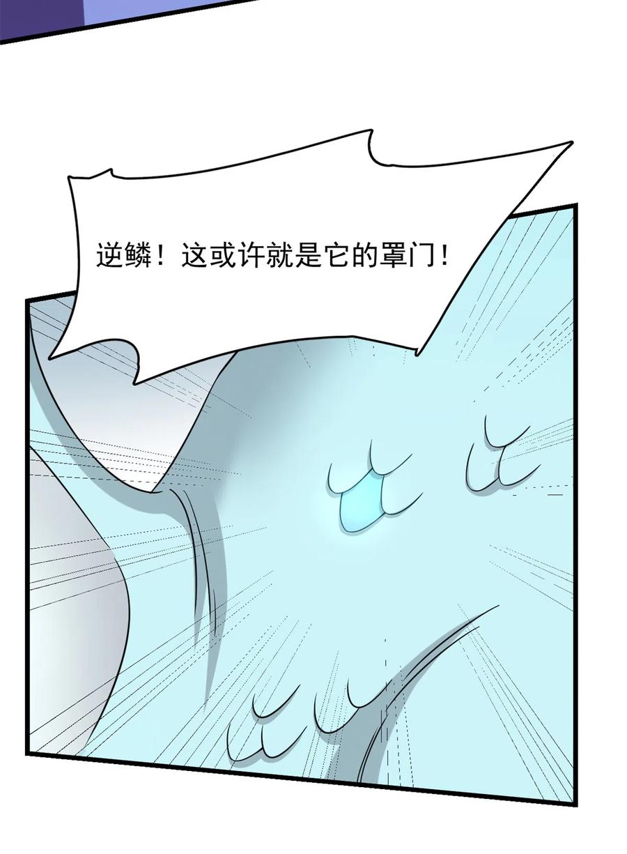 毒步天下：特工神医小兽妃222