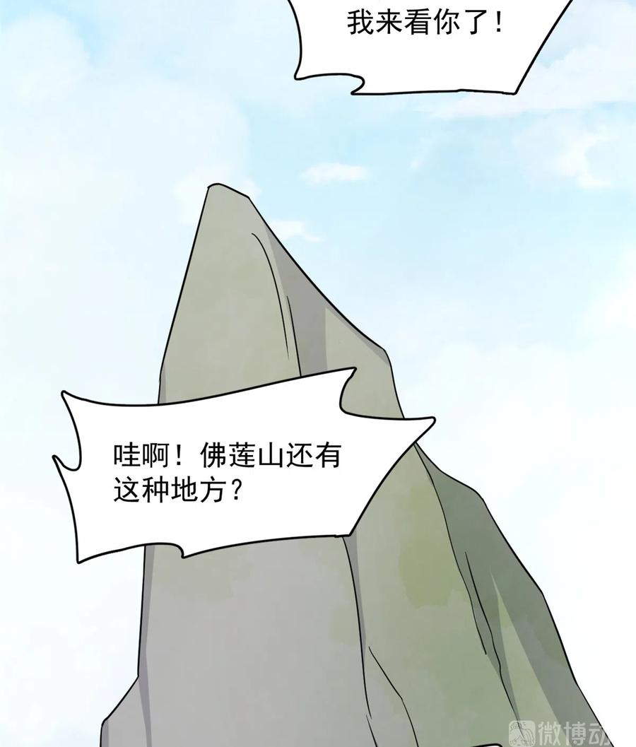 毒步天下：特工神医小兽妃228