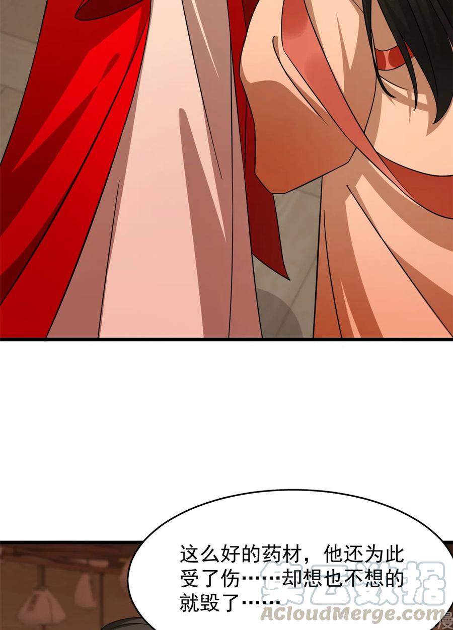 毒步天下：特工神医小兽妃233