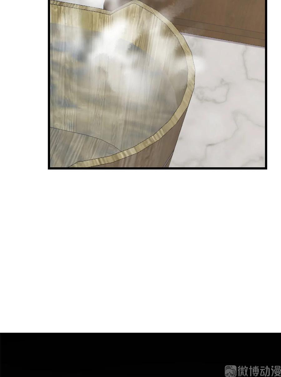 毒步天下：特工神医小兽妃244