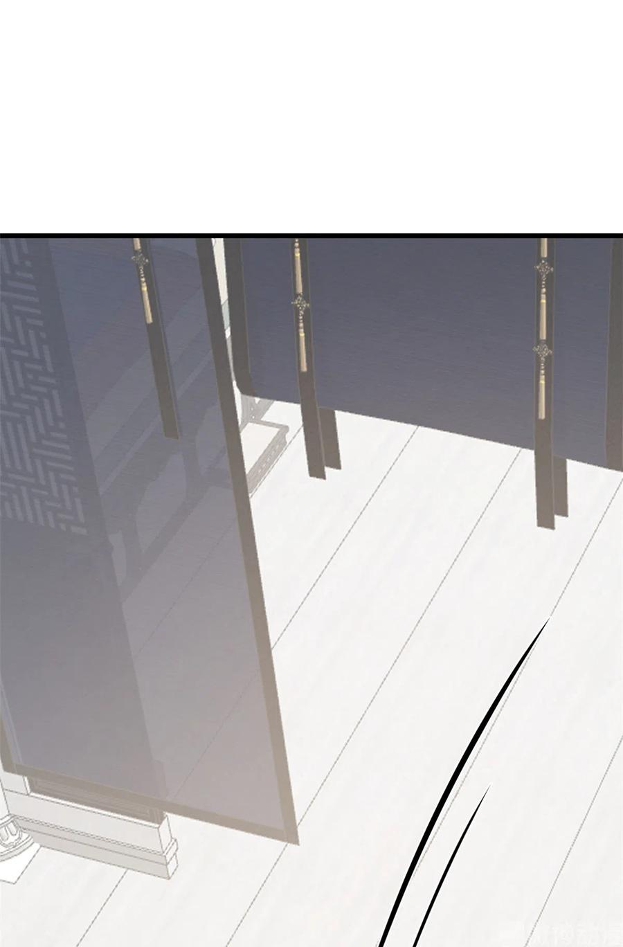 毒步天下：特工神医小兽妃244