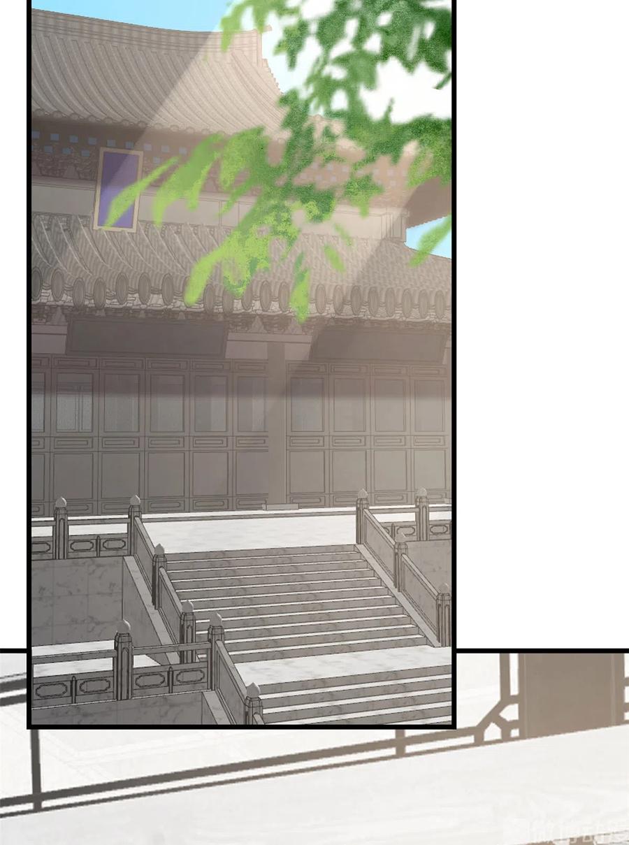 毒步天下：特工神医小兽妃244