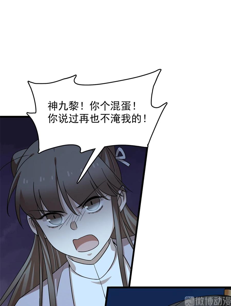 毒步天下：特工神医小兽妃246