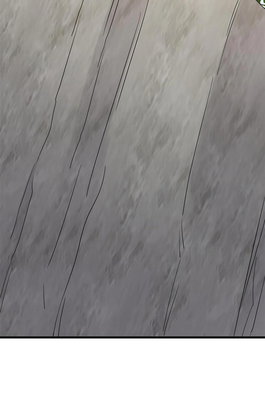 毒步天下：特工神医小兽妃247