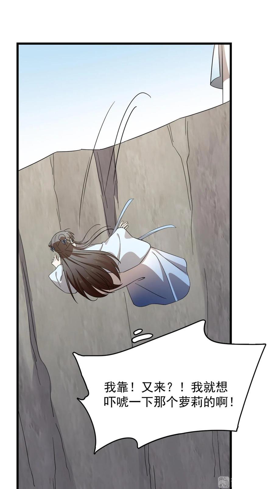 毒步天下：特工神医小兽妃247