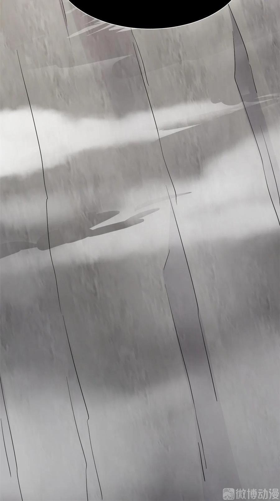 毒步天下：特工神医小兽妃247