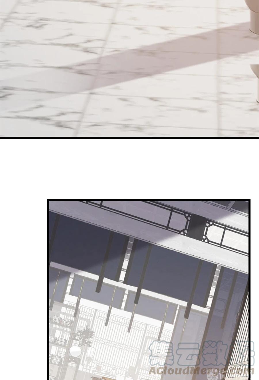 毒步天下：特工神医小兽妃249