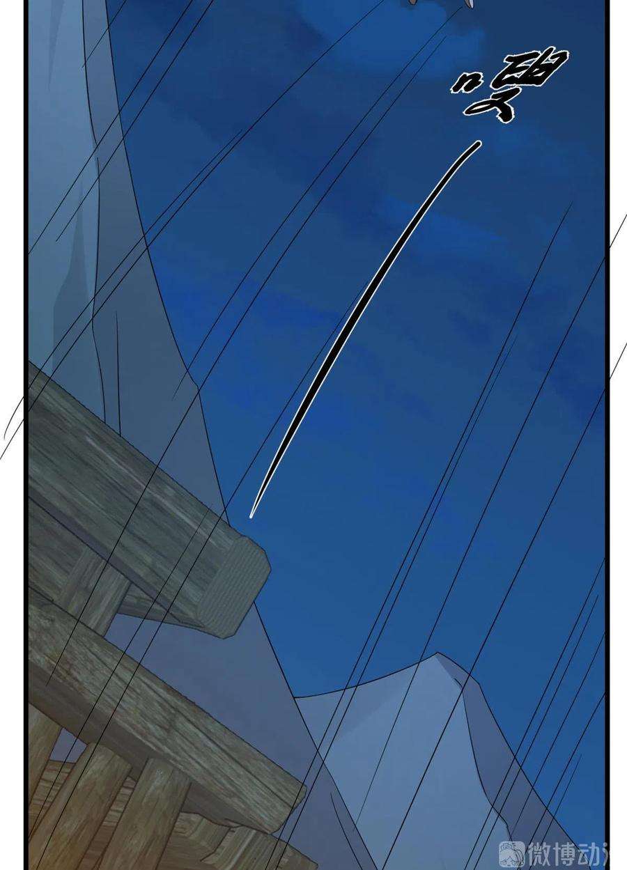 毒步天下：特工神医小兽妃256