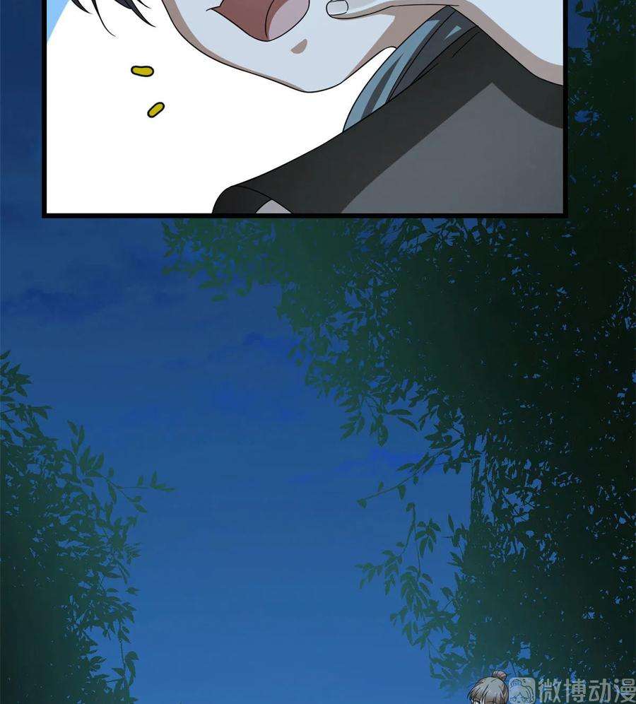 毒步天下：特工神医小兽妃257